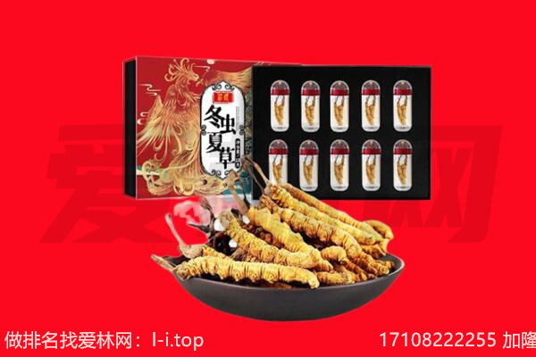 河西区回收虫草.jpg